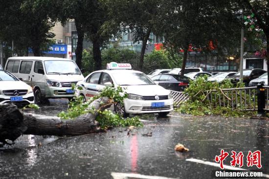 长春迎来清新风暴，最新台风动态带来清凉问候