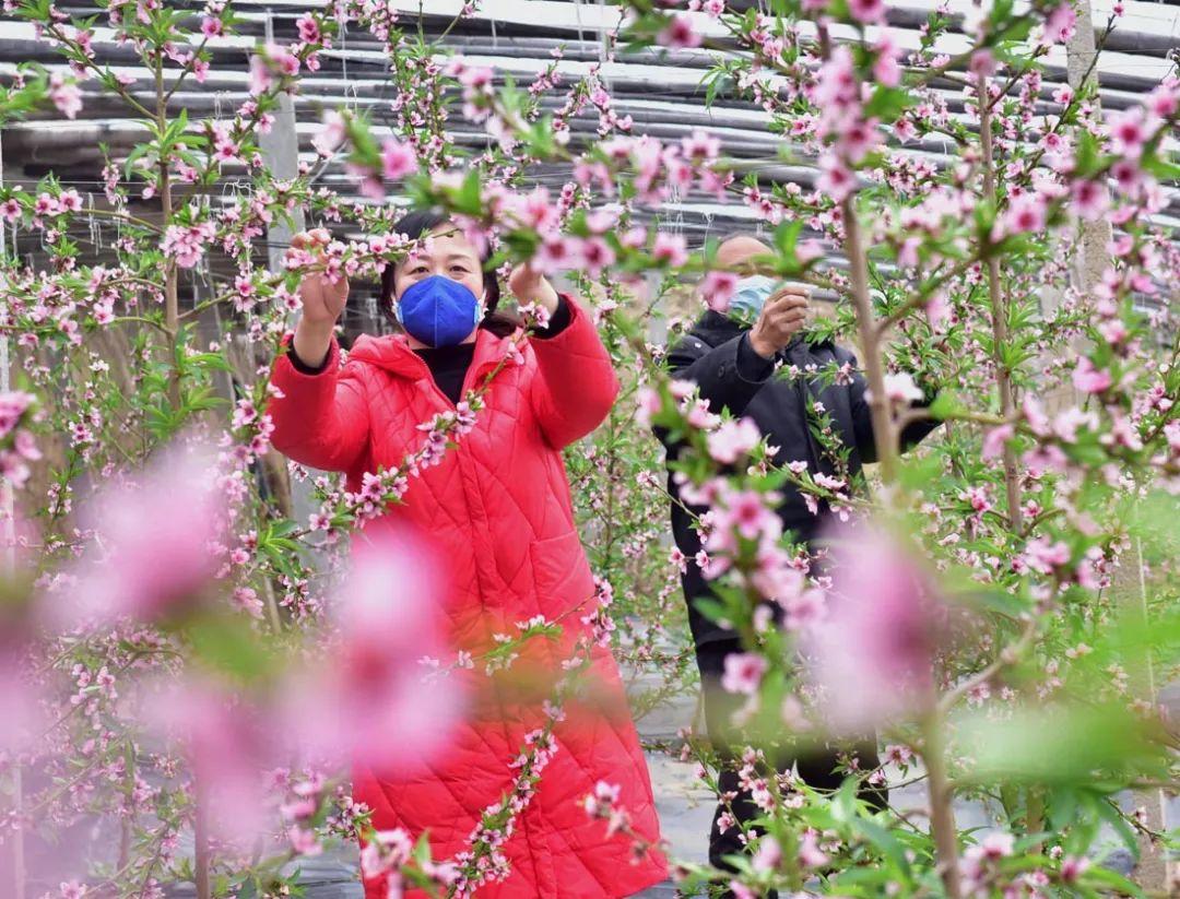 石家庄楼市迎春，房价稳健攀升新篇章