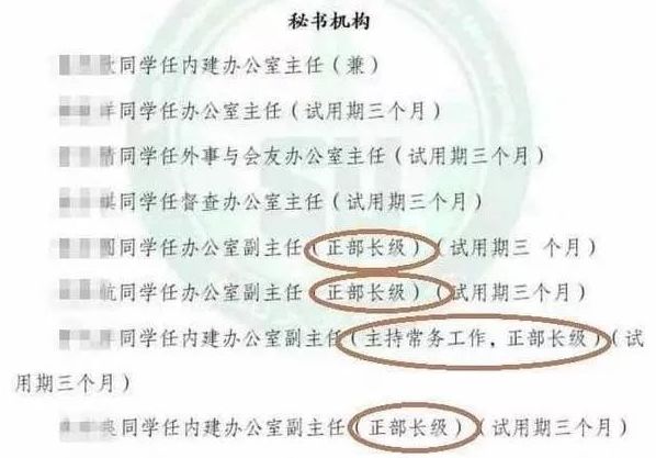 长春市最新干部任命公示信息揭晓