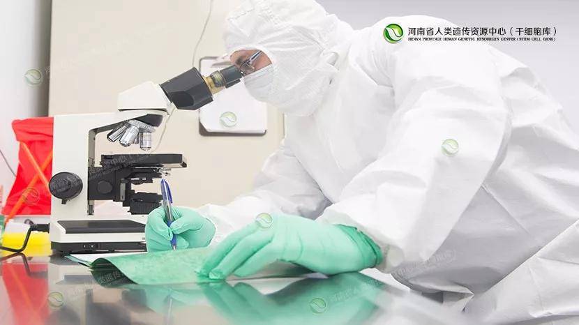 干细胞技术引领前沿：实现鼻甲组织再生的最新突破