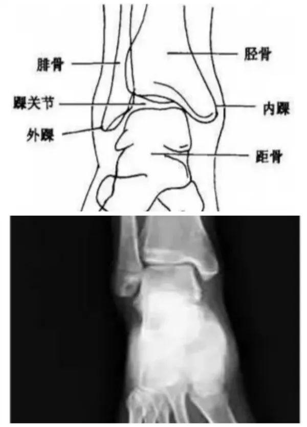 探寻最新版“U影魅力”官方入口秘籍