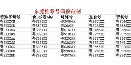 东莞车牌号最新选号资讯速递