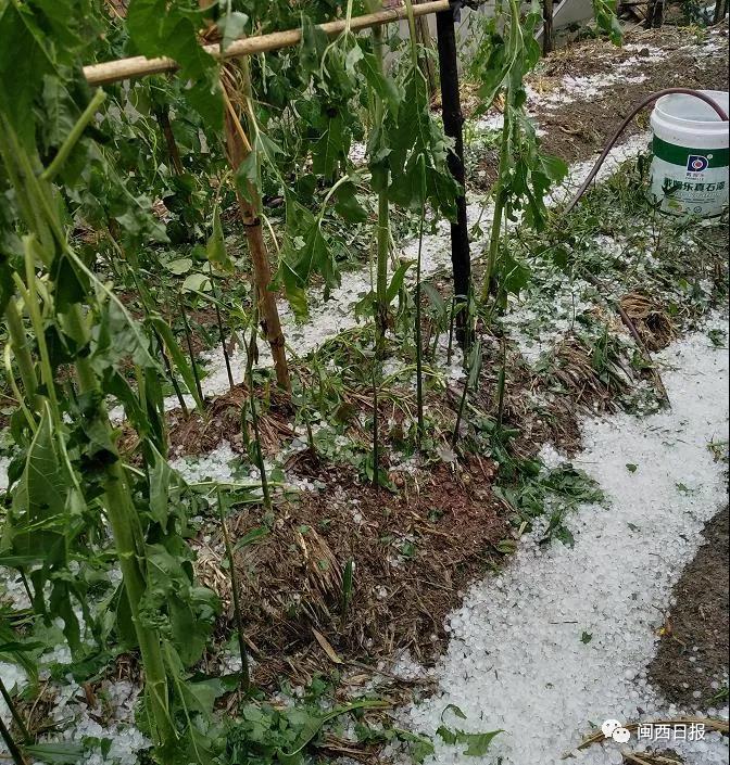 龙岩市区突降暴雨，实时动态报道汇总