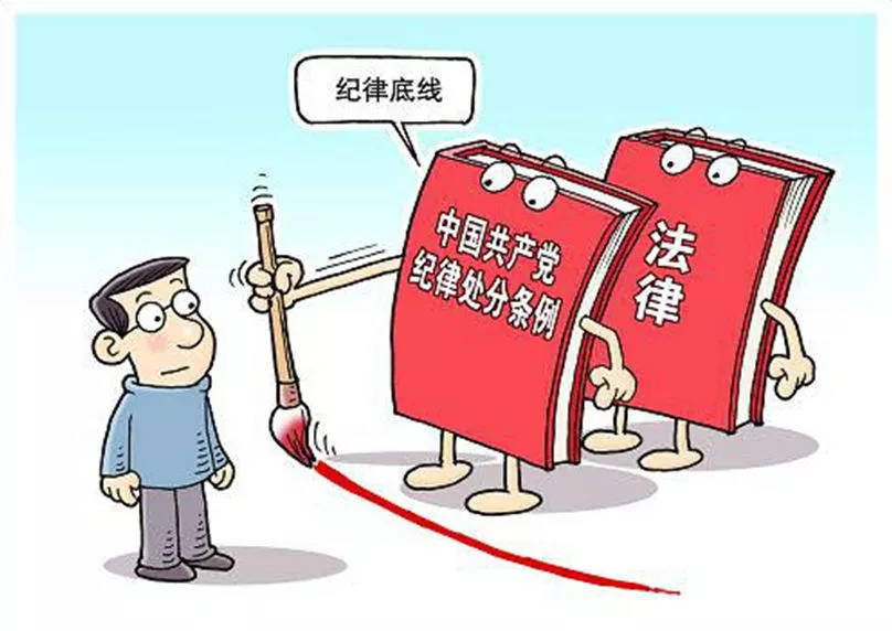 新时代党的纪律建设新动态解析